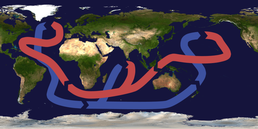 Circulation océanique thermohaline montrant la remontée d'eau chaude (en rouge) vers les hautes latitudes et le plongeon des eaux froides et salées (en bleu) qui reviennent vers le sud pour former une boucle (source : Wikipedia)