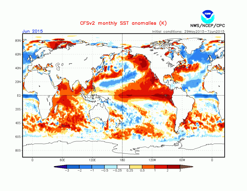 Prévisions d'anomalies de température à la surface de l'océan pour le mois de juin (Source : NCEP CFSv2 - NOAA)